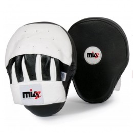 Coaching & Focus Mitts