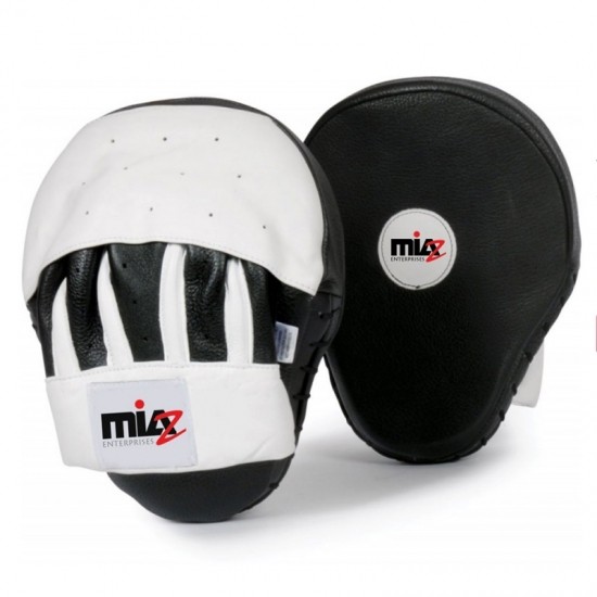 Coaching & Focus Mitts