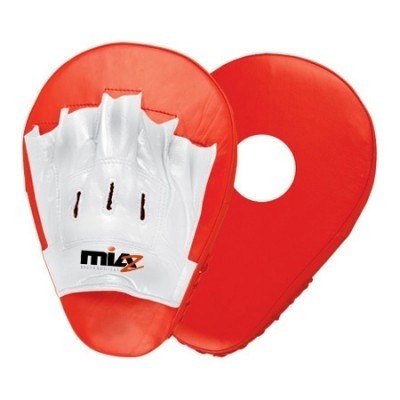 Coaching & Focus Mitts
